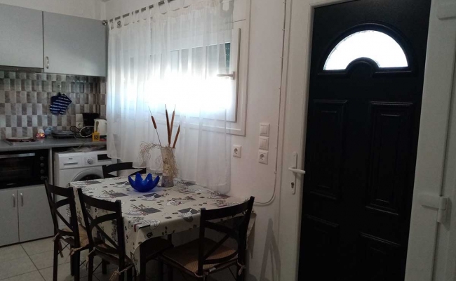 cactus-studio-kitchen-table