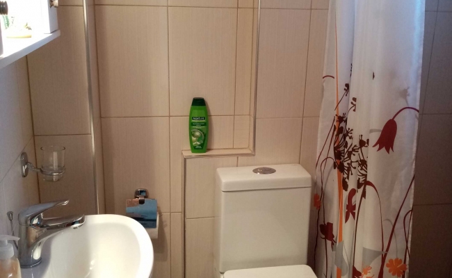 cactus-studio-wc