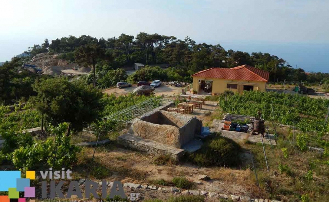 afianes_winery3