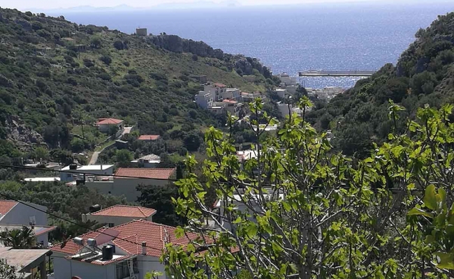 kaktos_ikaria01