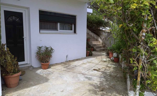 kaktos_ikaria08