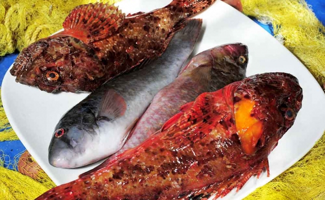 sto-gialo-kanei-fourtouna18